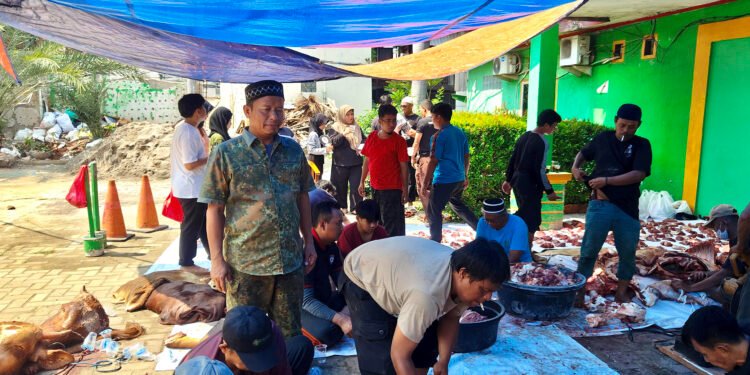 Pelaksanaan Kurban Idul Adha 1446 H di Universitas Ibnu Chaldun: Esensi Berbagi dalam Bingkai Ibadah
