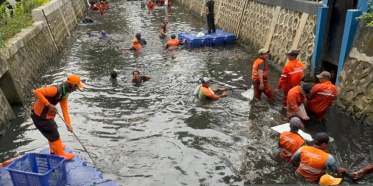 Atasi Ikan Sapu-Sapu, Pramono Siapkan PJLP Khusus