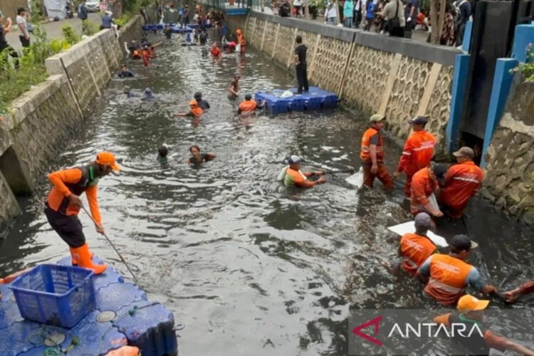 Atasi Ikan Sapu-Sapu, Pramono Siapkan PJLP Khusus